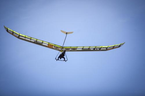 Drachenflieger Motiv 1