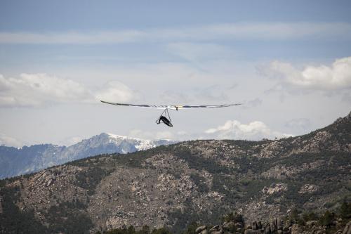 Drachenflieger Motiv 3