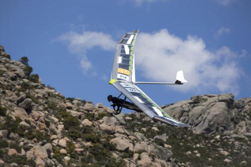 Drachenflieger Motiv 4