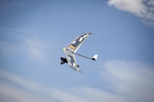 Drachenflieger Motiv 6